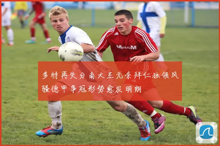 多特再失分南大王无奈拜仁独领风骚德甲争冠形势愈发明朗
